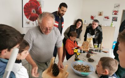 Ateliers pour créer des mangeoires à oiseaux